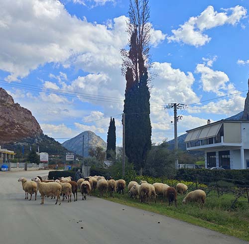 Cycling Quest Greece